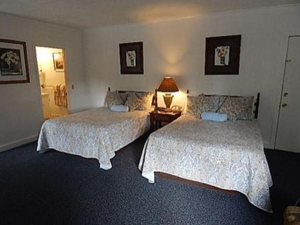 Acadia Sunrise Motel Trenton Værelse billede